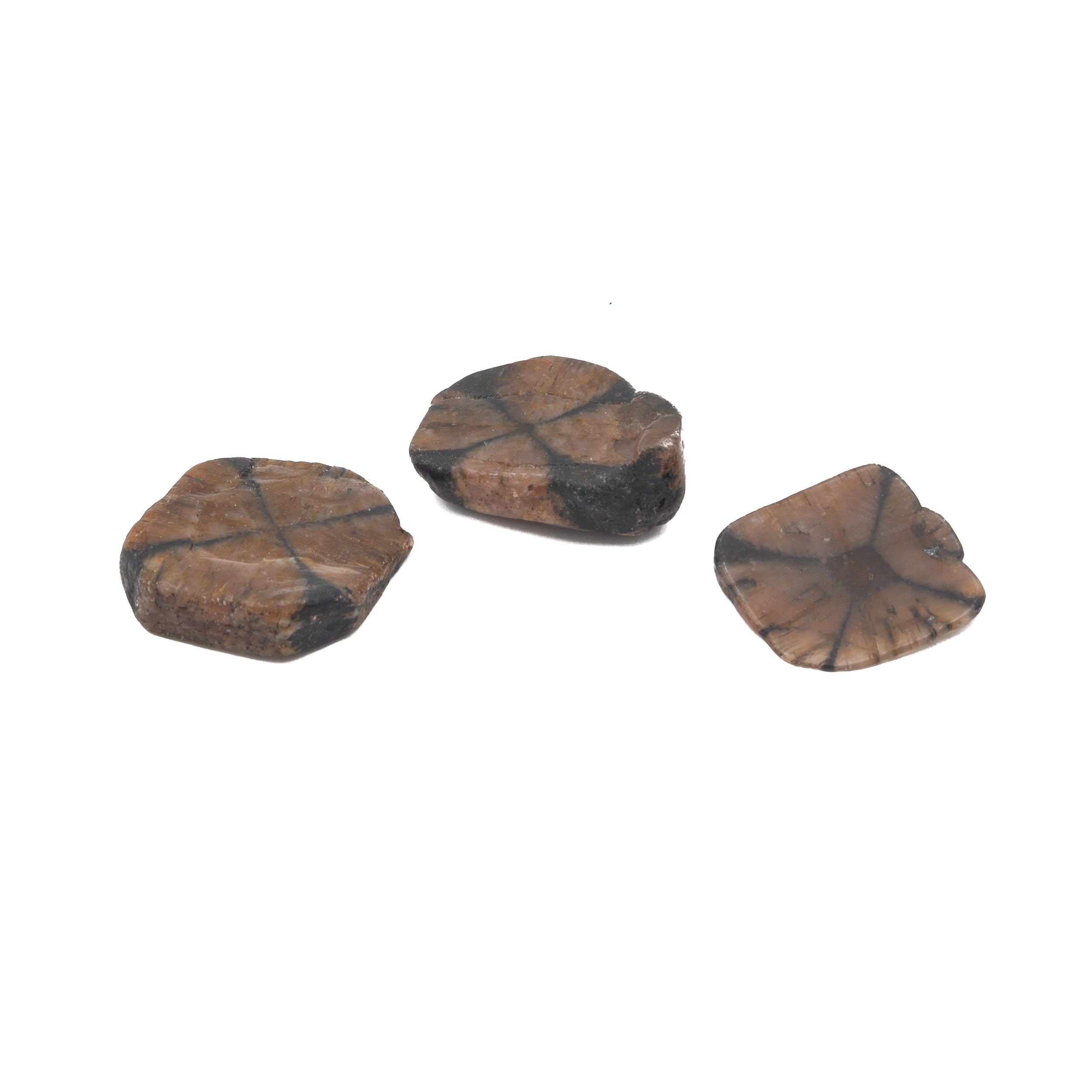 Chiastolite Tumble $10